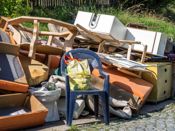 Best Dumpster Rental Services  in La Nte, MO