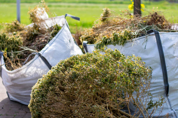Best Full-Service Junk Removal  in La Nte, MO